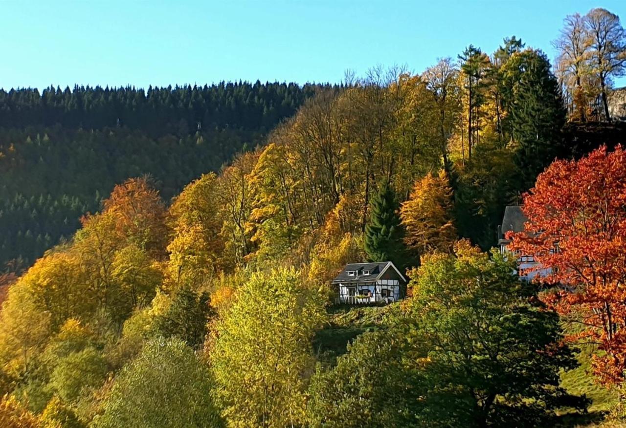 Jagthaus Am Rappelstein Villa Schmallenberg Eksteriør bilde