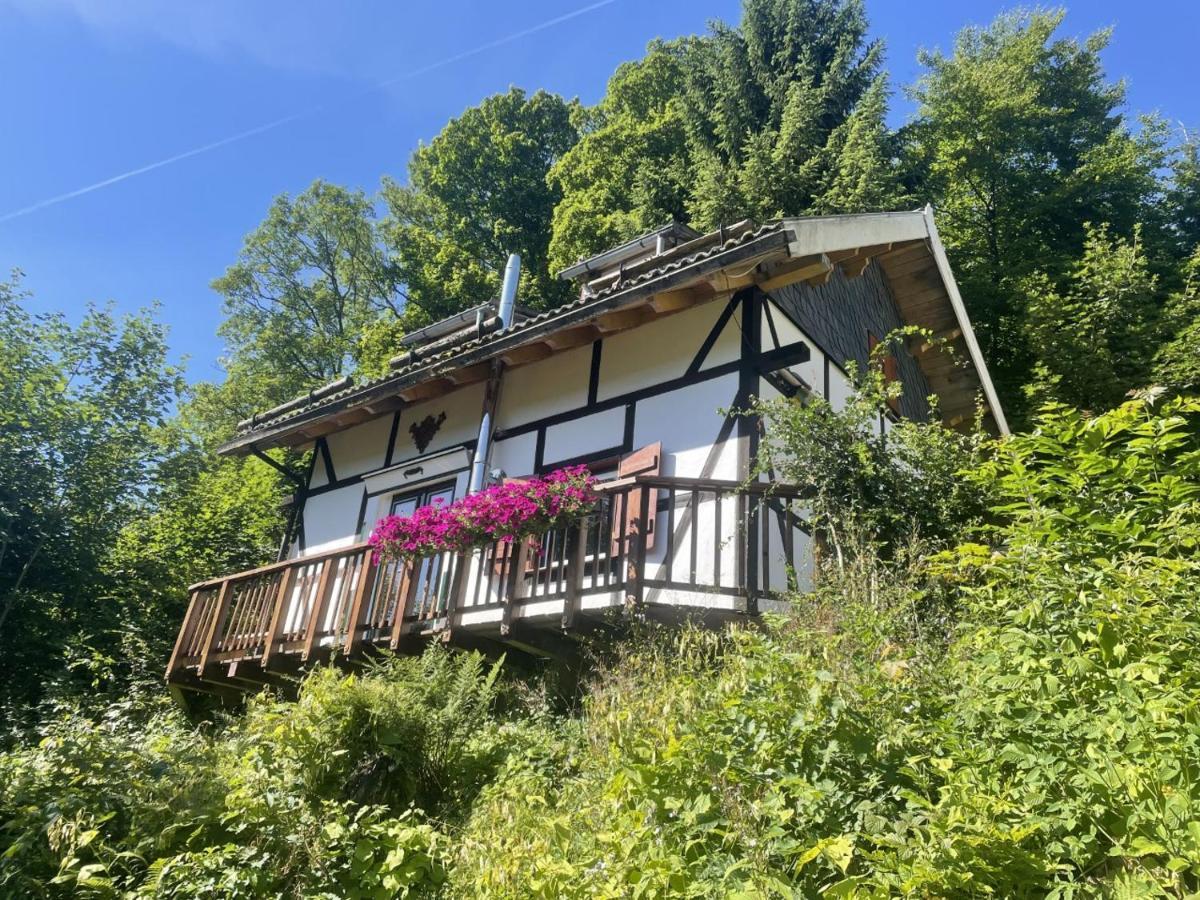 Jagthaus Am Rappelstein Villa Schmallenberg Eksteriør bilde