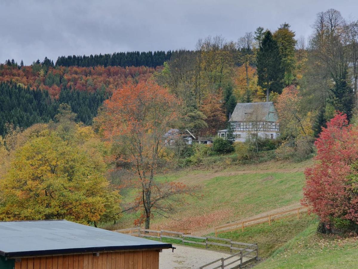 Jagthaus Am Rappelstein Villa Schmallenberg Eksteriør bilde