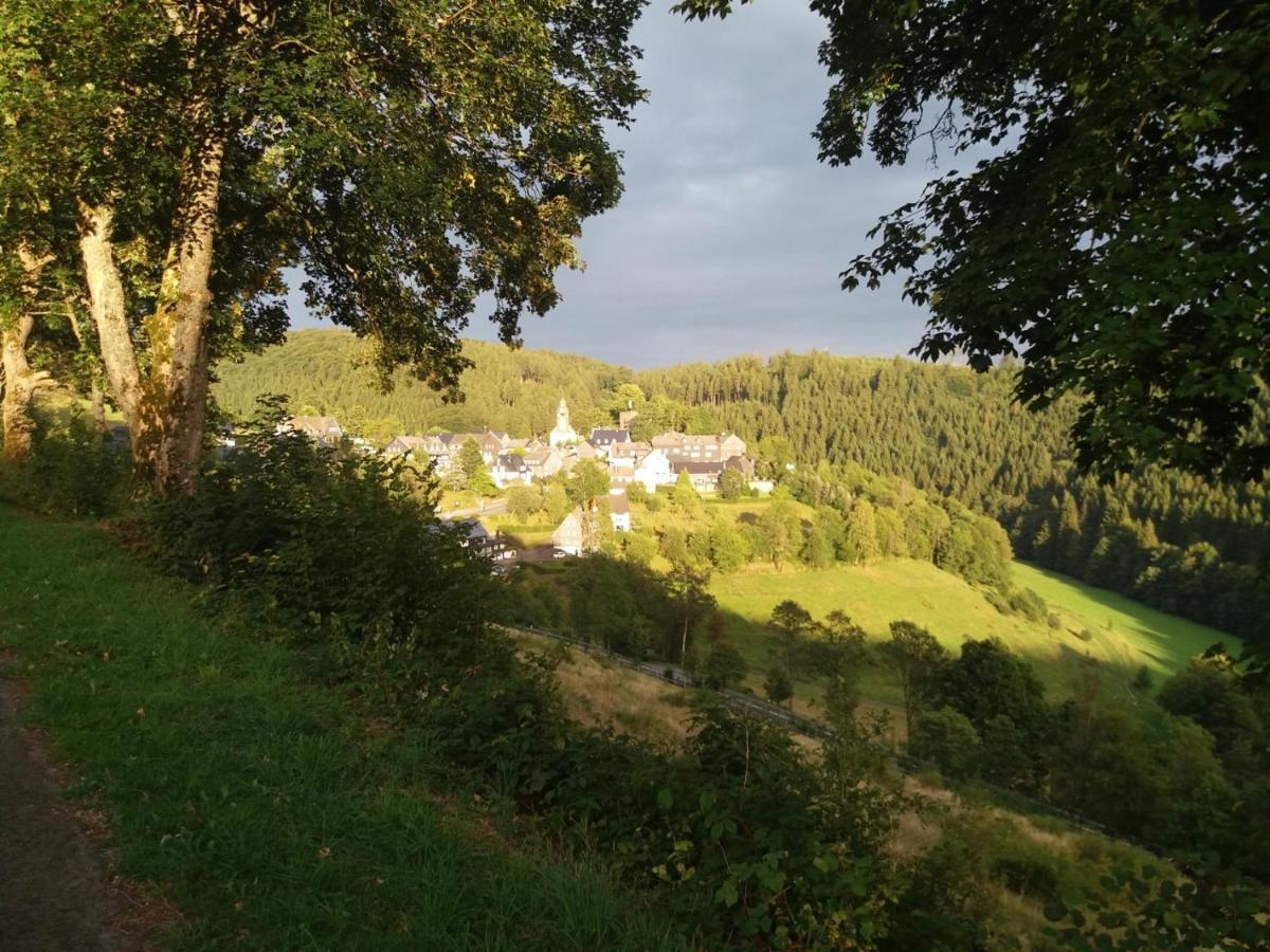 Jagthaus Am Rappelstein Villa Schmallenberg Eksteriør bilde