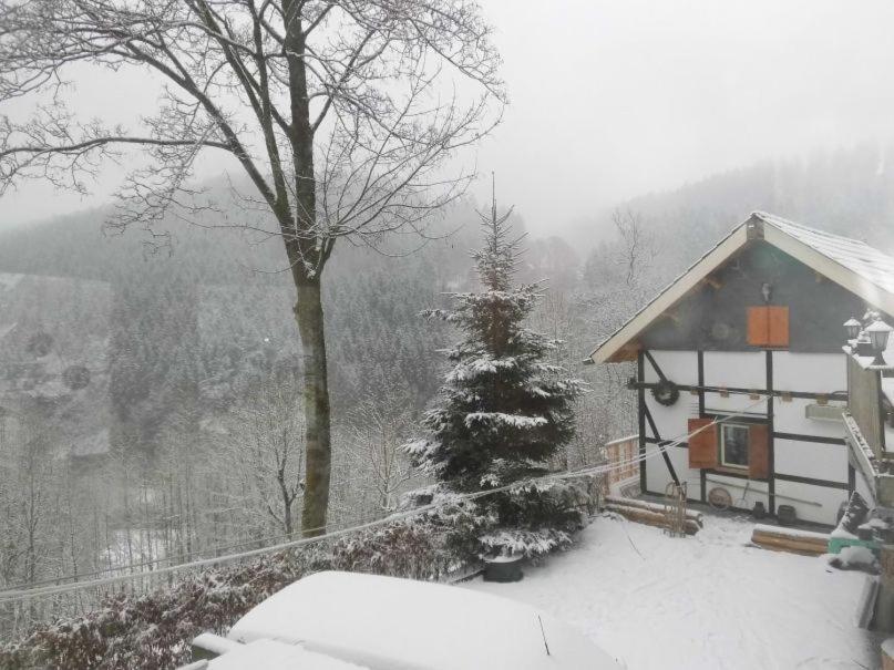 Jagthaus Am Rappelstein Villa Schmallenberg Eksteriør bilde